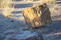 Fer click per engrandir la foto