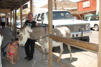 Fer click per engrandir la foto